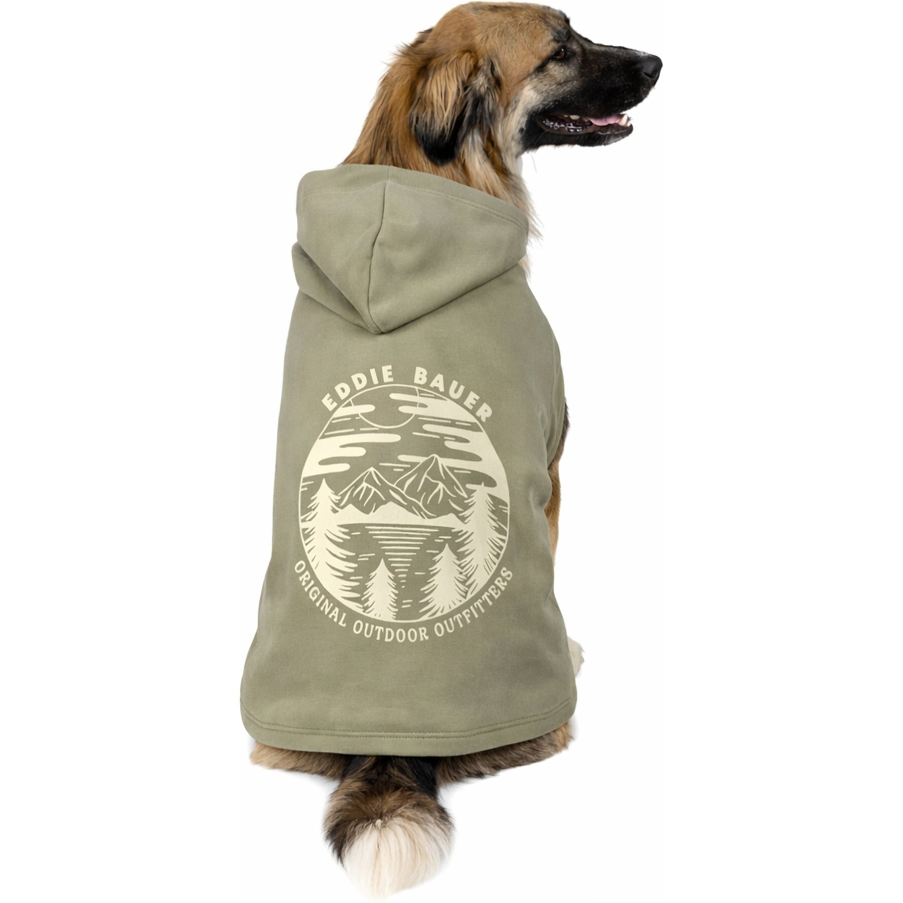 Eddie Bauer Landscape Graphic Dog Hoodie, Green, XX-Large
