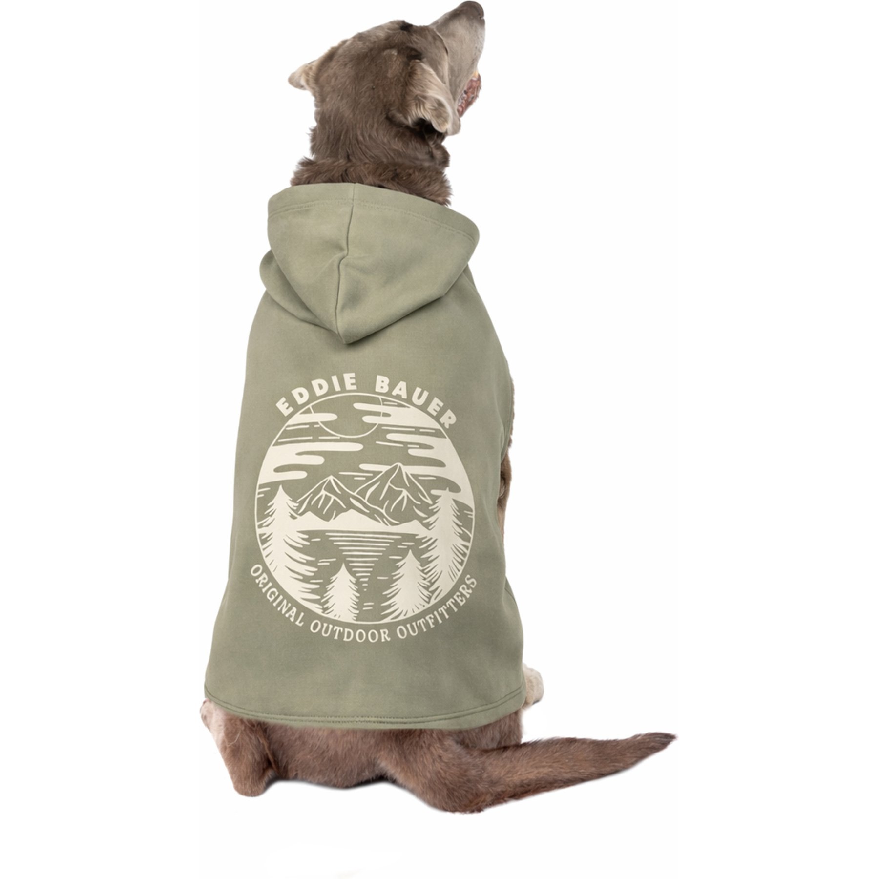 Eddie Bauer Landscape Graphic Dog Hoodie, Green, X-Large