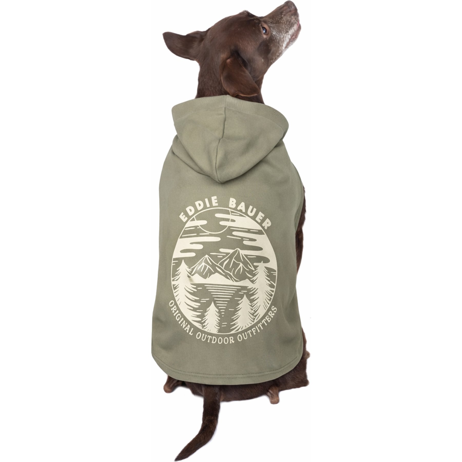 Eddie Bauer Landscape Graphic Dog Hoodie, Green, X-Small
