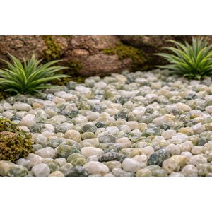 Exotic Pebbles Polished Jade Reptile & Terrarium Gravel, Jade, 20-lb bag