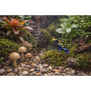 Exotic Pebbles Natural Washed Mixed Gravel, Mixed, 20-lb