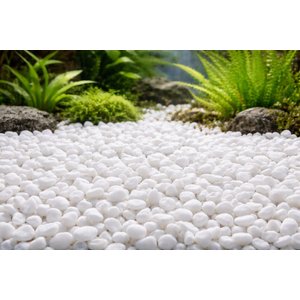 Exotic Pebbles White Bean Pebbles, 20-lb bag