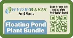 HydrOasis Floating Pond Fish Bundle Plant slide 2 of 5