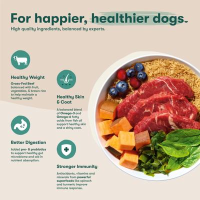 Show full view: Jinx Beef, Brown Rice & Sweet Potato ALS Kibble Dog Dry Food, 23.5-lb bag slide 4 of 12