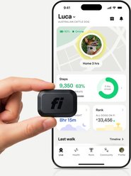 Fi Mini GPS Smart Dog Collar, Black
