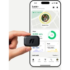 Fi Mini GPS Smart Dog Collar, Black