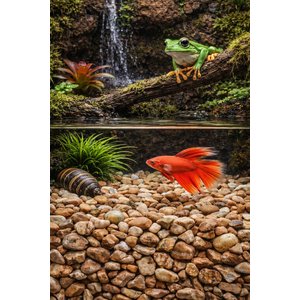 Exotic Pebbles Wood Bean Pebbles, 20-lb bag