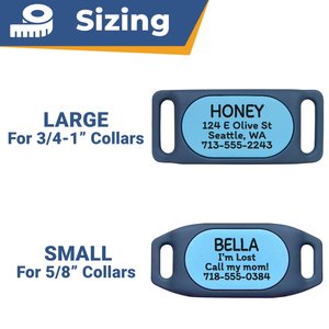 GoTags Samsung SmartTag2 Personalized Dog Collar Holder & ID GPS Tracker, Large, Black