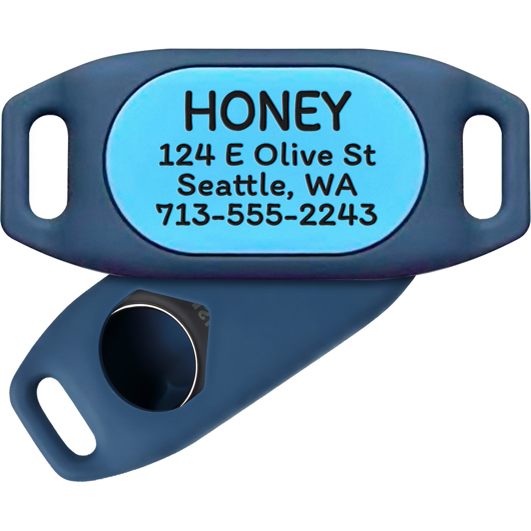 GoTags Samsung SmartTag2 Personalized Dog Collar Holder & ID GPS Tracker, Small, Blue