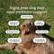 Show in main carousel: PetLabCo. Probiotic Salmon Flavored Soft Chews for Dogs, 30 count slide 6 of 11