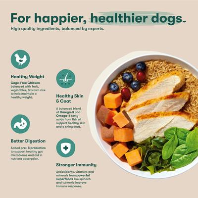 Show full view: Jinx Jr Whole Grain Chicken Recipe Natural Dry Puppy Food, 4-lb bag slide 5 of 10