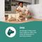 Show in main carousel: Jinx Jr Whole Grain Chicken Recipe Natural Dry Puppy Food, 4-lb bag slide 4 of 10