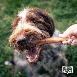 Hank and Roy All-Natural Bully Sticks 12-in Dog Chews, 4 count slide 2 of 4