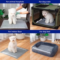 Pettycare Disposable Odor Control Charcoal Dog Training & Potty Pads, 22 x 23-in, 100 count slide 2 of 6