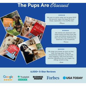 The Pets Table Chicken Grain-Free Air-Dried Dog Treats, 5-oz bag