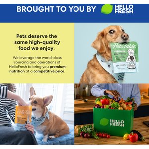 The Pets Table Chicken Grain-Free Air-Dried Dog Treats, 5-oz bag
