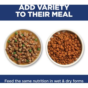 Hill's Science Diet Adult Sensitive Stomach & Sensitive Skin Chicken & Rice Recipe Dry Cat Food, 15.5-lb bag