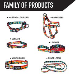 Wolfgang Heavy Duty MountainVibes Adjustable Dog Collar with Quick Release, Large: 18 to 26-in neck, 1-in wide slide 2 of 5