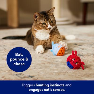 Show full view: Frisco Coastal Critters Jingle Ball Cat Toy with Silvervine & Catnip, 2 count slide 4 of 7