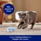 Show in main carousel: Frisco Coastal Shark Bubble Sound Electronic Plush Cat Toy with Silvervine & Catnip slide 4 of 7