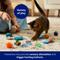 Show in main carousel: Frisco Coastal Variety Pack Cat Toy with Silvervine & Catnip, 12 count slide 5 of 8