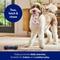 Show in main carousel: Frisco Coastal TPR Bone Squeaky Dog Toy, Medium/Large, 2 count slide 4 of 7