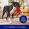 Show in main carousel: Frisco Coastal Lobster Roll Plush Squeaky Dog Toy, Medium/Large slide 4 of 8