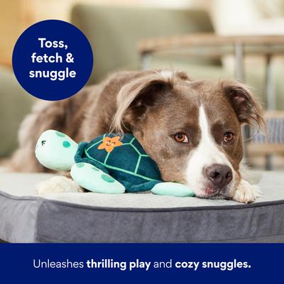 Show full view: Frisco Coastal Turtle Plush Squeaky Dog Toy, Medium/Large slide 4 of 8
