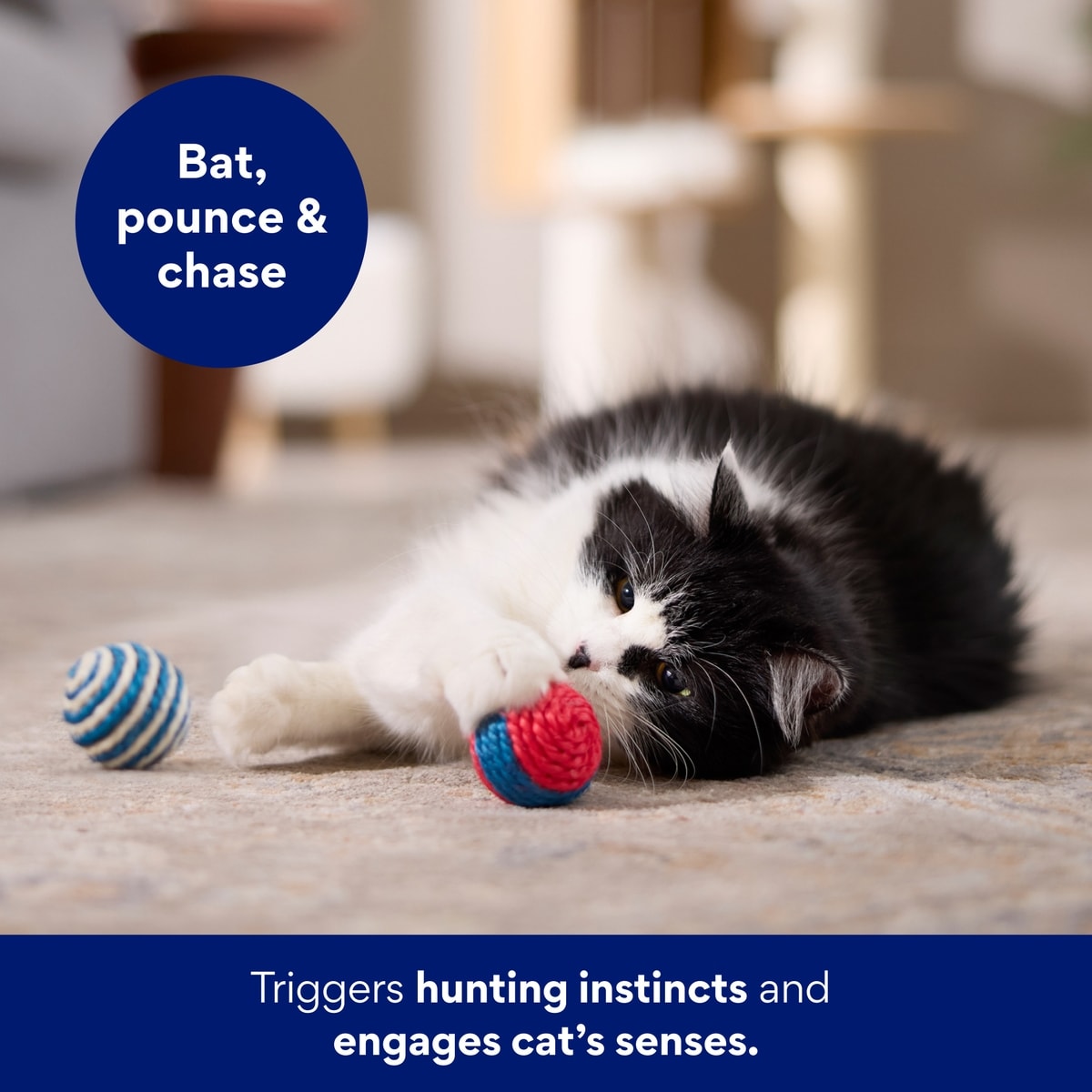 FRISCO Striped Sisal Ball Rattle Cat Toy, 2 count - Chewy.com