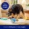 Show in main carousel: Frisco Coastal Critters Plush Squeaky Dog Toy, Medium/Large, 3 count slide 4 of 8
