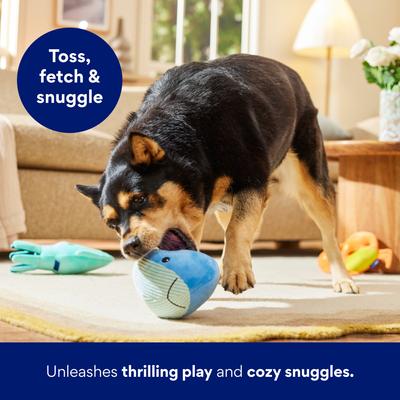 Show full view: Frisco Coastal Critters Plush Squeaky Dog Toy, Medium/Large, 3 count slide 4 of 8