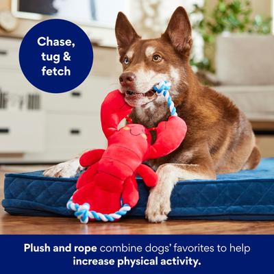Show full view: Frisco Coastal Lobster Plush with Rope Squeaky Dog Toy, Medium/Large slide 4 of 8