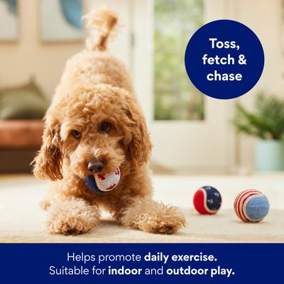 Show full view: Frisco Coastal Squeaky Tennis Ball Dog Toy, Medium, 3 count slide 4 of 7