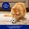 Show in main carousel: Frisco Sports Soccer Sound Electronic Plush Cat Toy with Silvervine & Catnip slide 4 of 7