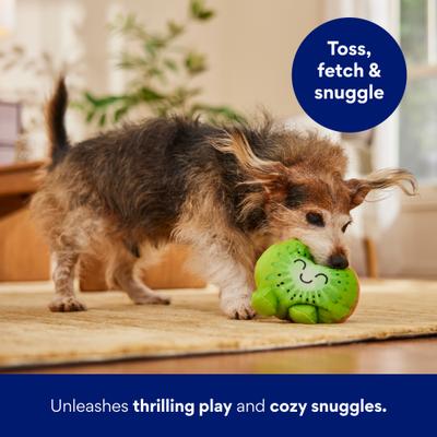 Show full view: Frisco Kiwi Plush Squeaky Dog Toy, Medium/Large slide 4 of 6
