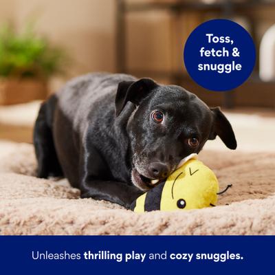 Show full view: Frisco Bee Plush Squeaky Dog Toy, Medium/Large slide 4 of 6