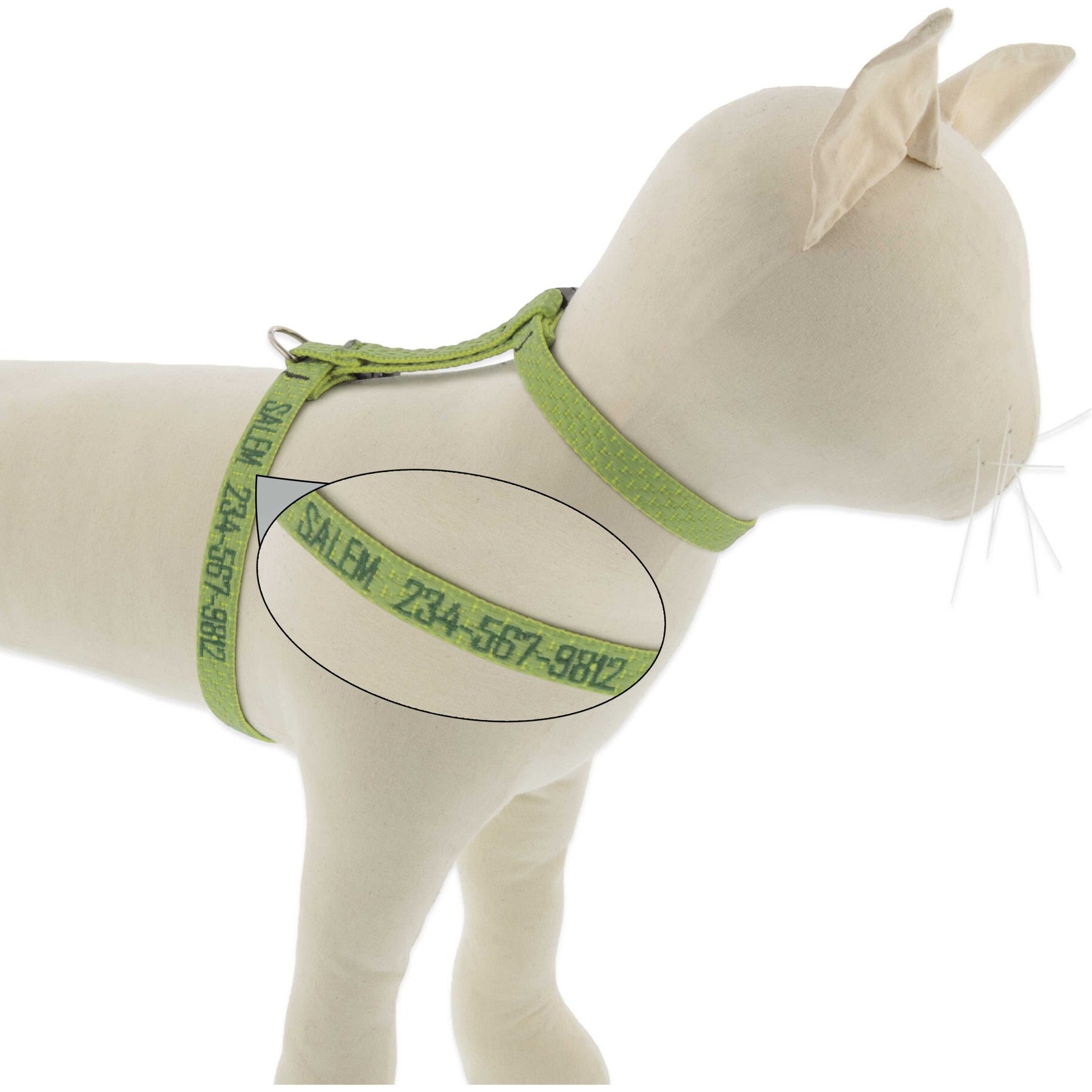 LupinePet Personalized ECO Recycled H-Style Cat Harness, Moss, Large: 12 to 20-in chest