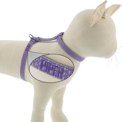 LupinePet Personalized ECO Recycled H-Style Cat Harness, Lilac, Large: 12 to 20-in chest
