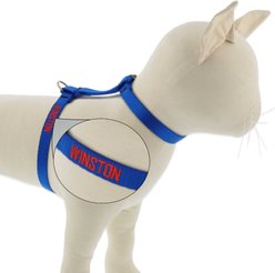 LupinePet Personalized Basic Solid H-Style Cat Harness, Blue, Large: 12 to 20-in chest