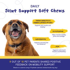 PupGrade Hip & Joint Support Peanut Butter Flavored Soft Chew Supplement for Dogs, 60 count slide 2 of 6