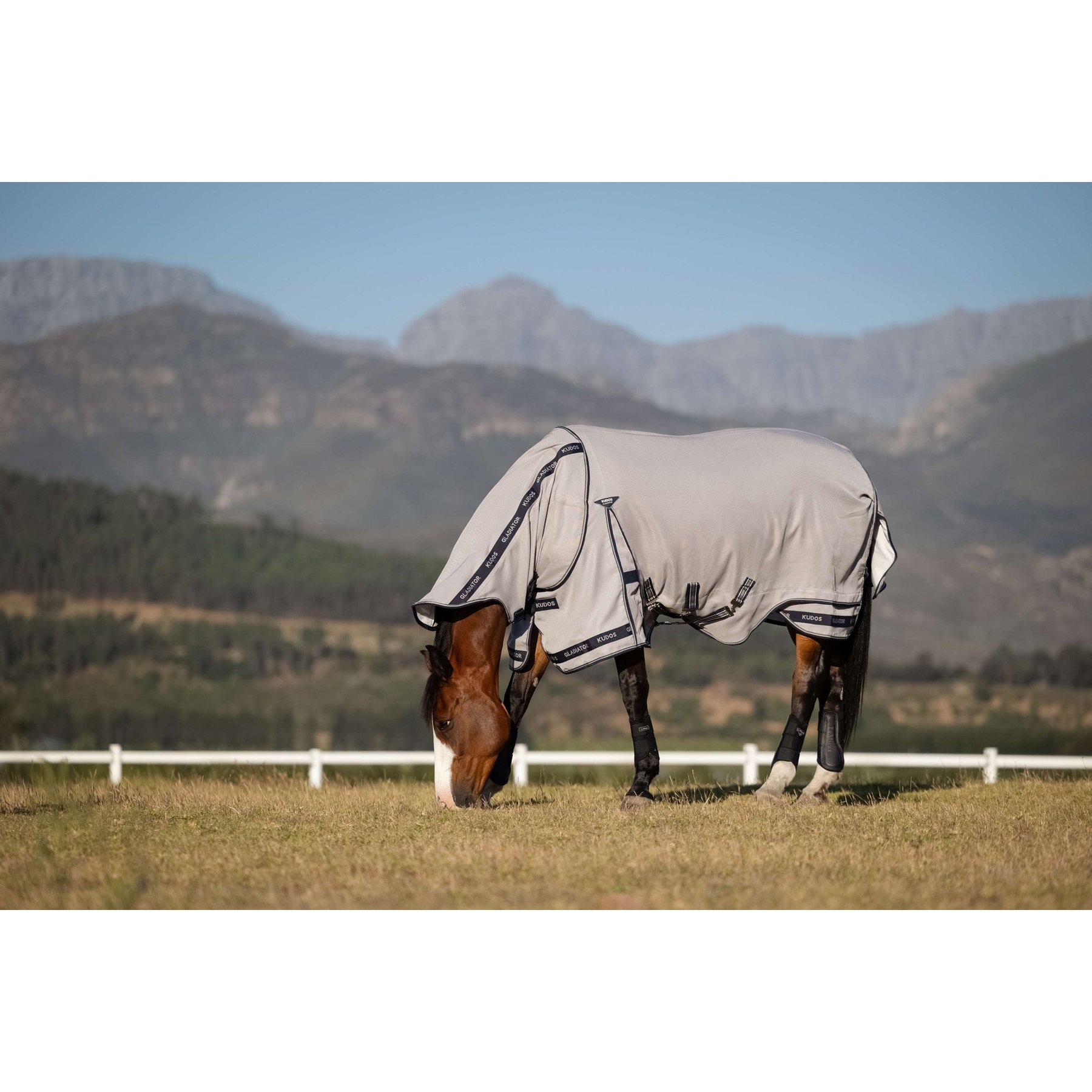 LeMieux Kudos Gladiator Mesh Horse Fly Rug, Grey, 63-in