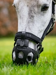LeMieux Noma Horse Grazing Muzzle, Black, Pony