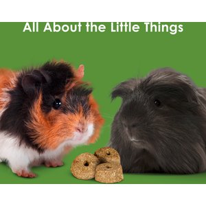 Kaytee Baked Apple Timothy Biscuit Small Animal Treats, 4-oz bag