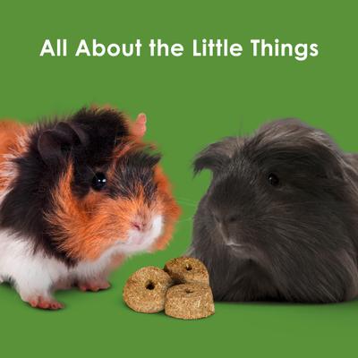 Show full view: Kaytee Baked Apple Timothy Biscuit Small Animal Treats, 4-oz bag slide 8 of 9