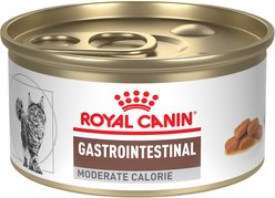 Royal Canin Veterinary Diet Adult Gastrointestinal Moderate Calorie Thin Slices in Gravy Canned Cat food, 3-oz can, case of 4