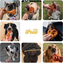 iPaw Turkey Tendons Strip Natural Rawhide-Free Dehydrated Dog Treats, 6-oz bag slide 2 of 6