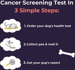 Oncotect Essential Cancer Screening Test for Dogs, 4-oz box slide 2 of 8