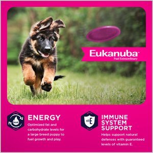 Eukanuba Adult Large Breed Dry Dog Food, 30-lb bag