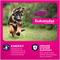 Show in main carousel: Eukanuba Adult Large Breed Dry Dog Food, 30-lb bag slide 3 of 11