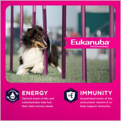 Show full view: Eukanuba Adult Medium Breed Dry Dog Food, 30-lb bag slide 3 of 11